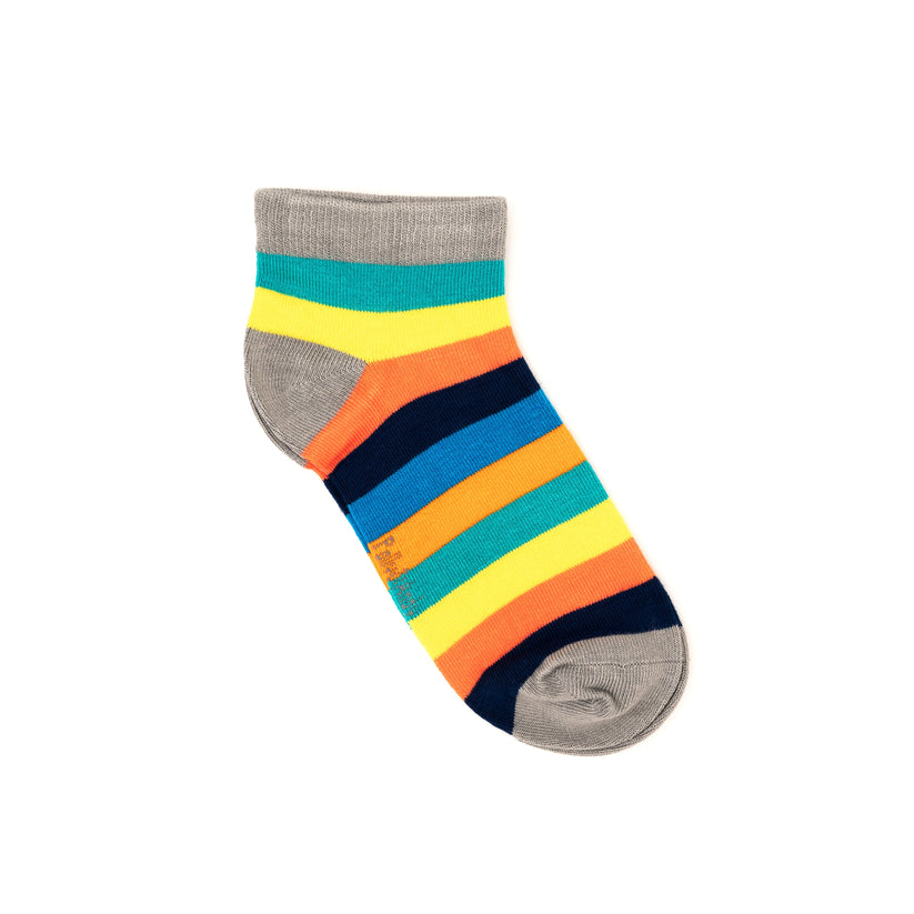 Polly & Andy Rainbow Bamboo Ankle Sock
